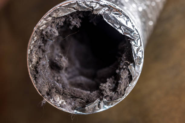 Best Commercial Air Duct Cleaning  in White Oak, PA
