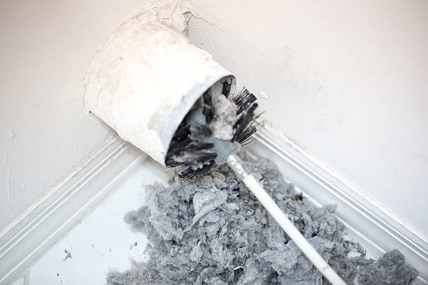 Best Professional Duct Cleaning Services  in White Oak, PA